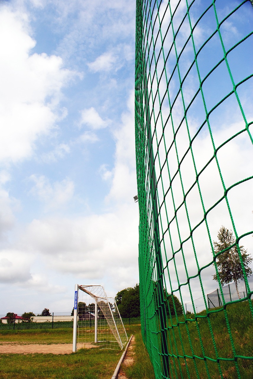 锋维克托 锋维克托