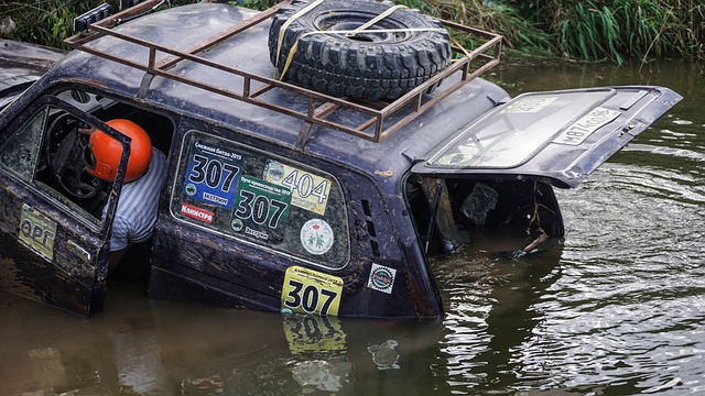 但只有在良 但只有在良