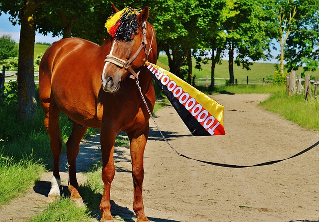 这位三分球 这位三分球