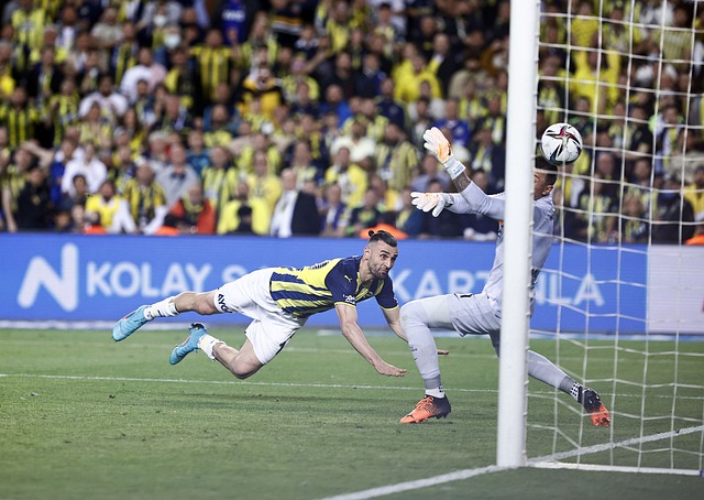 个健康的体 个健康的体