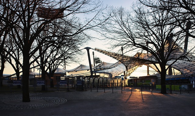 完全无需质 完全无需质