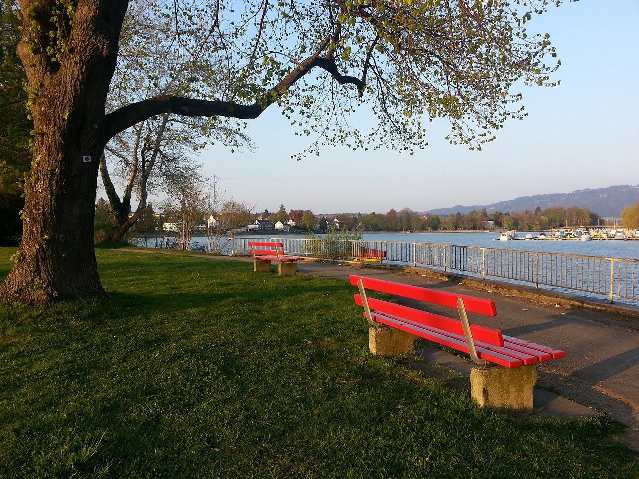 陈幸同在接 陈幸同在接